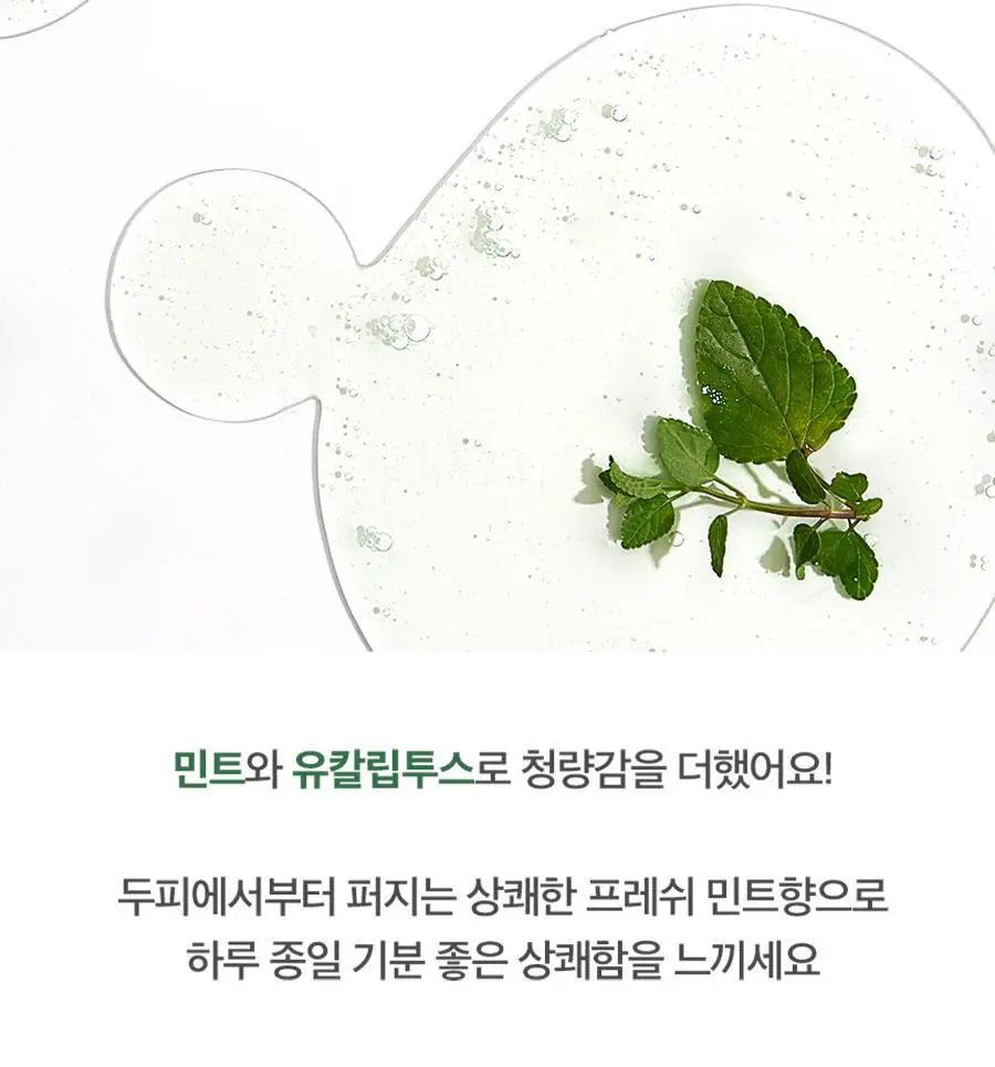 [트리트먼트 10매 증정] 스칼프 클렌징 샴푸 프레쉬 민트 1,000ml 상세페이지 22